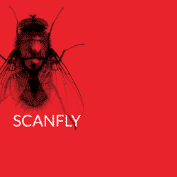 Scanfly LiDAR